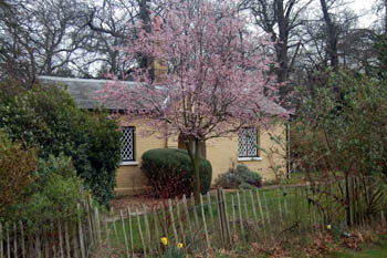 The Lodge March 2008